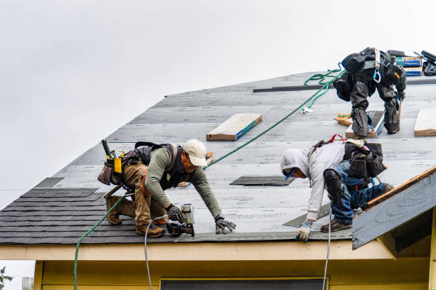 Professional Roof Inspection technician working in Kemblesville, PA